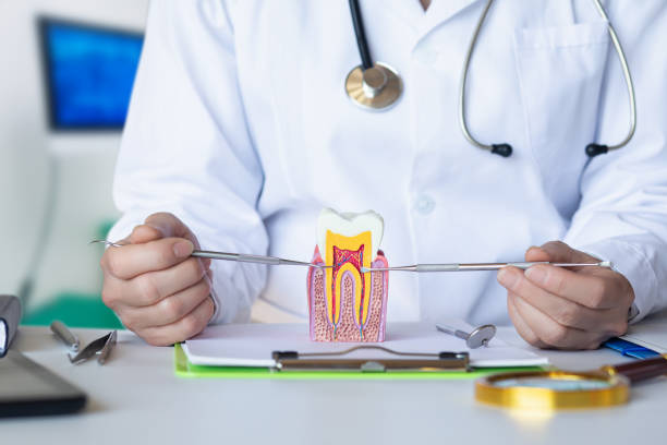 Best Emergency Dental Services Near Me  in Edgemere, MD